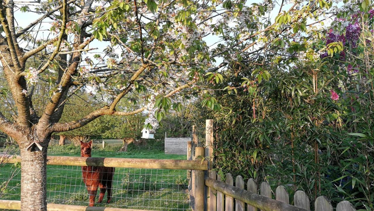 L'Arbre A The Bed & Breakfast Honfleur Luaran gambar